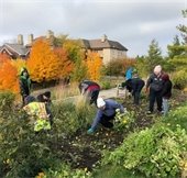 pull it day volunteers in a garden
