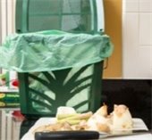 green organics bag in can