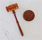 Gavel Icon