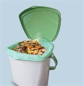 green bag in a trash can