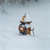 hydrant covered in snow