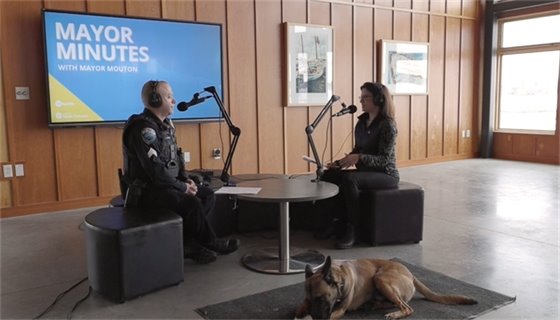 wayata k9 on the mayor minutes podcast at the sailing center