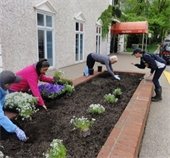 volunteers planting gardens 