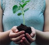 woman holding a seedling