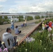 shoreline restoration