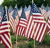 american flags in the grass