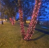 pink lights at City Hall