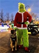the grinch and k9 loki