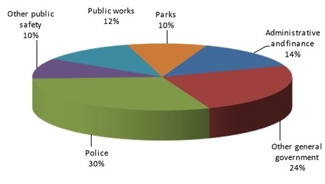 2020 Budget Expense Chart