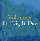 Volunteer for Dig It Day