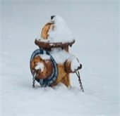 fire hydrant covered in snow