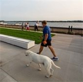 man walking with dog on panoway