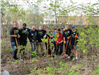 Part of the Wayzata High School football team pausing during buckthorn removal