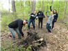 Buckthorn and Mustard Seed plant pull and indigenous wild flower planting May 12th