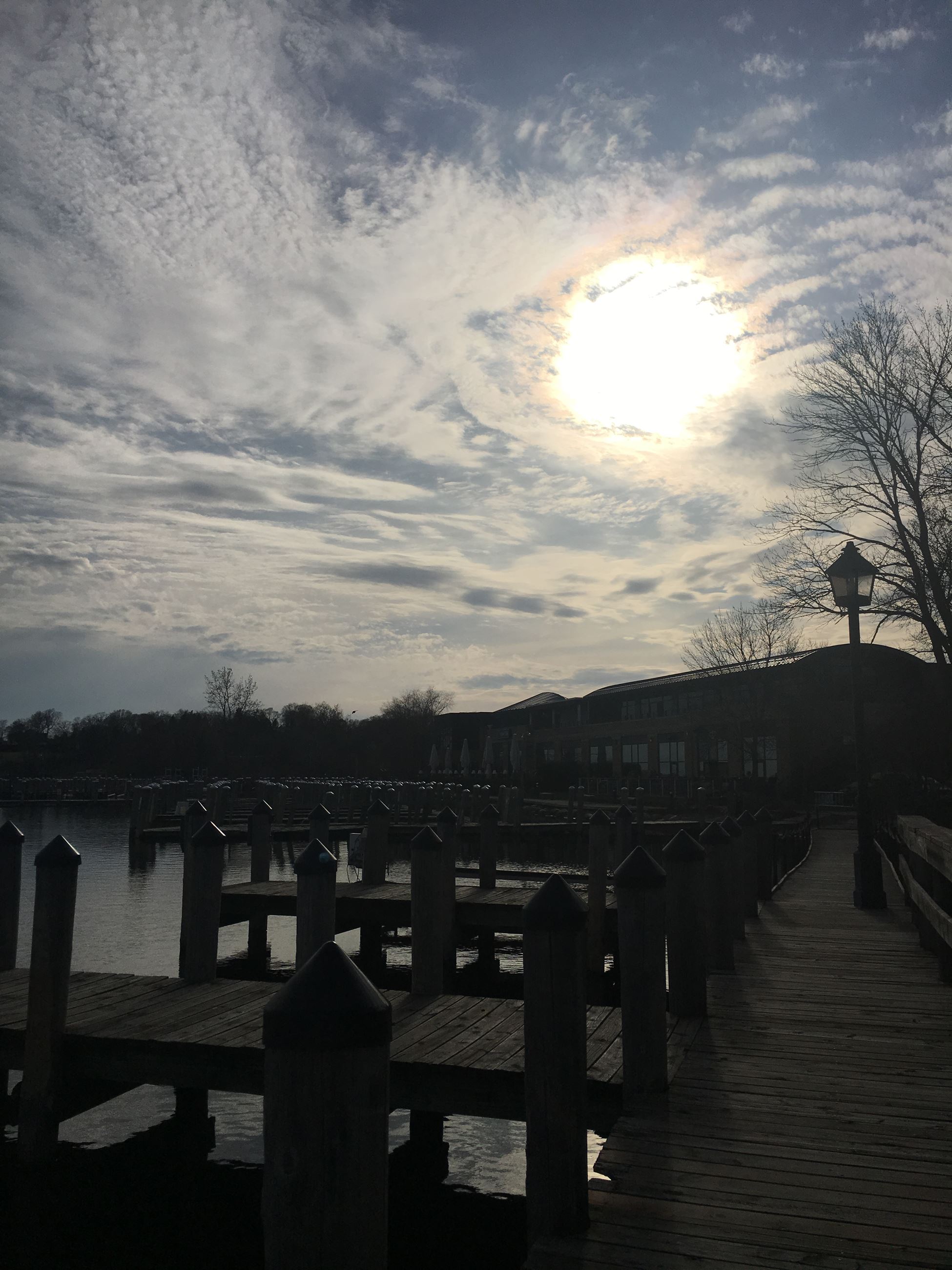 starry night reminiscent of van gogh